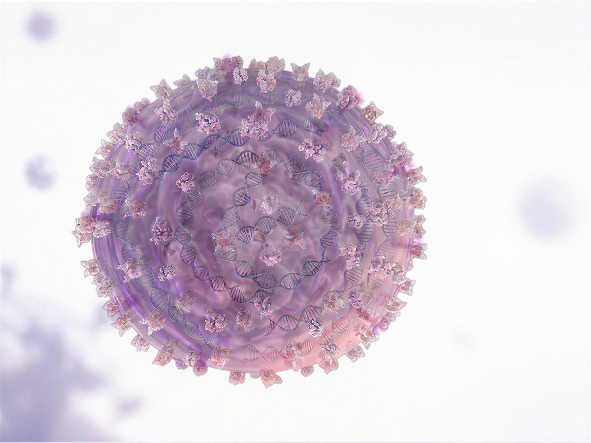 Particle Assembly